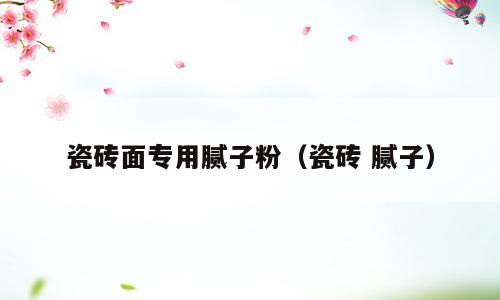 瓷砖面专用腻子粉（瓷砖 腻子）