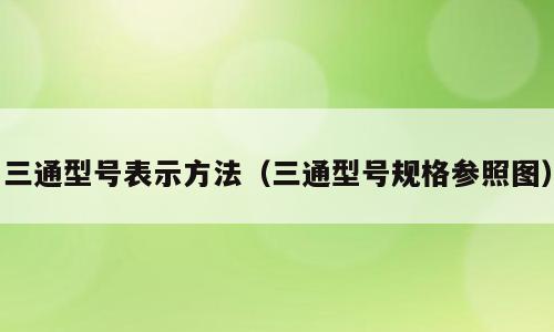 三通型号表示方法（三通型号规格参照图）